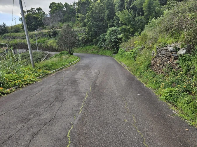 Terreno para Venda em Gaula Foto 4