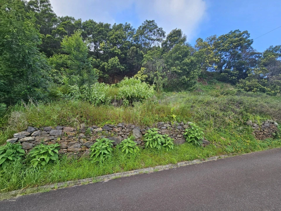 Terreno para Venda em Gaula Foto 2