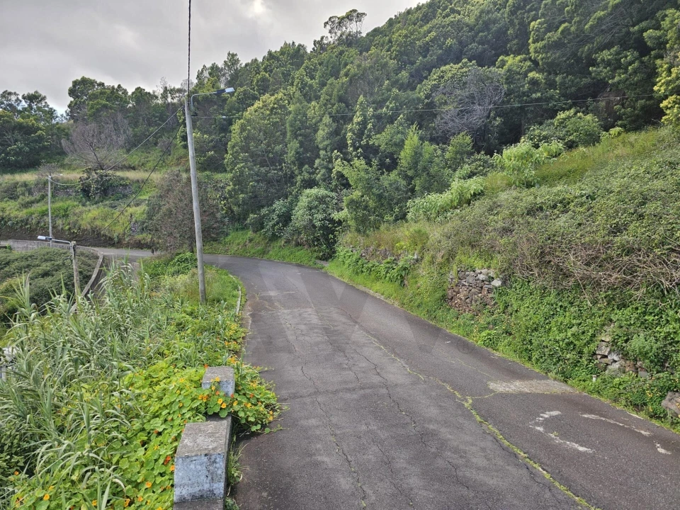 Terreno para Venda em Gaula Foto 6