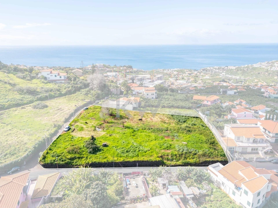 Terreno para Venda em São Martinho Foto 2