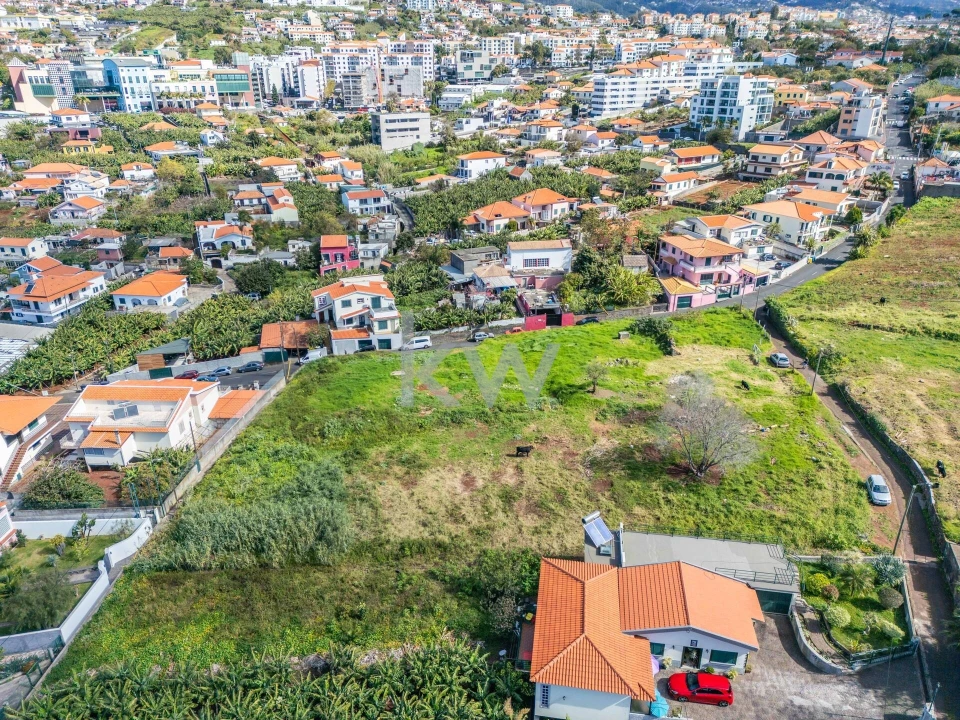 Terreno para Venda em São Martinho Foto 6