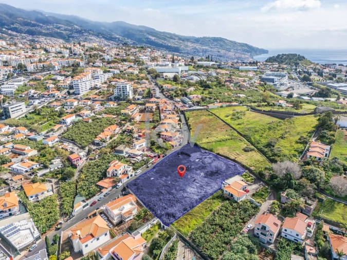 Terreno para Venda em São Martinho Foto 14