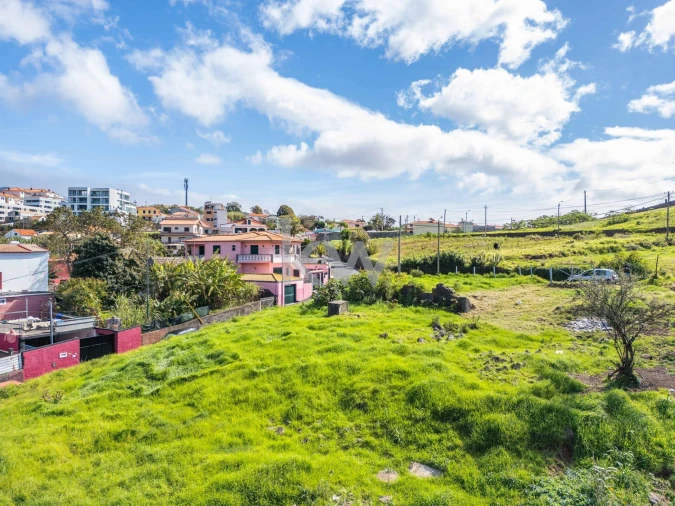 Terreno para Venda em São Martinho Foto 4