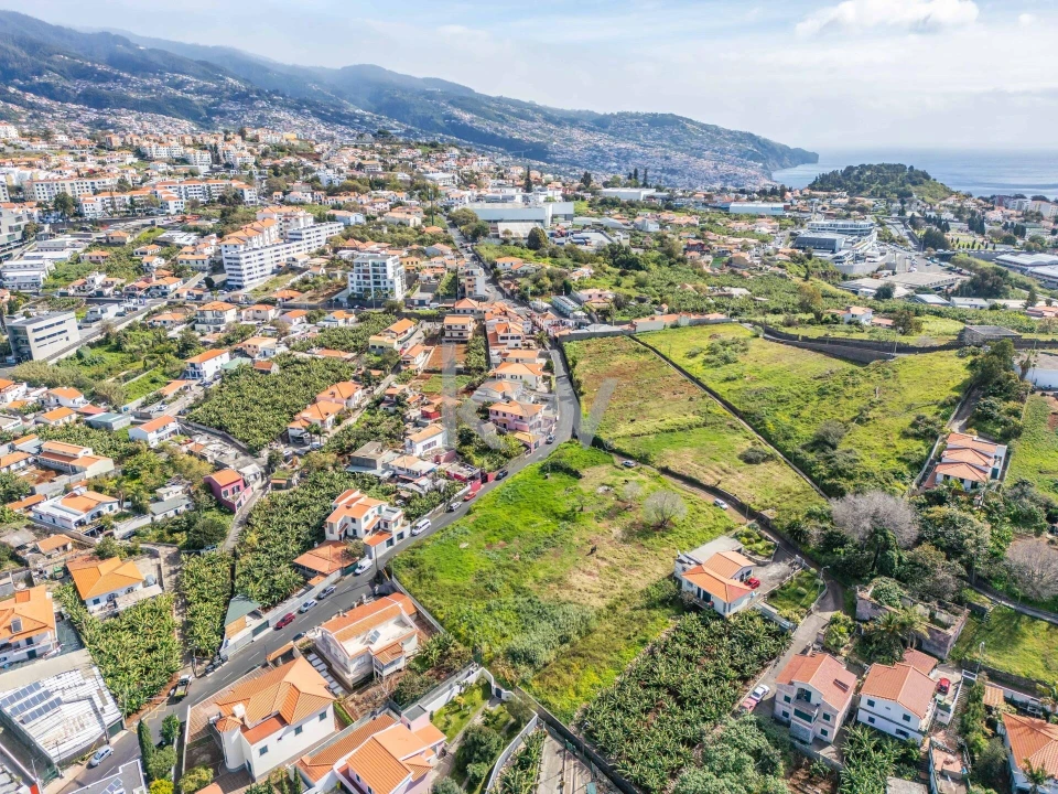 Terreno para Venda em São Martinho Foto 15