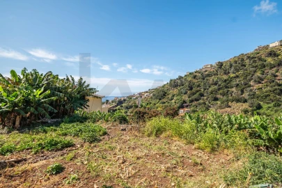 Terreno para Venda em Santa Cruz