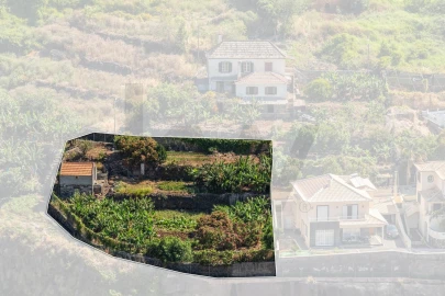 Terreno para Venda em Santa Cruz