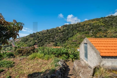 Terreno para Venda em Santa Cruz