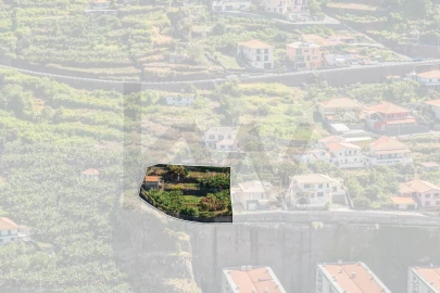 Terreno para Venda em Santa Cruz