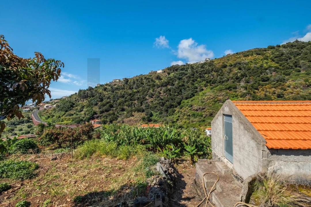 Terreno para Venda em Santa Cruz Foto 3