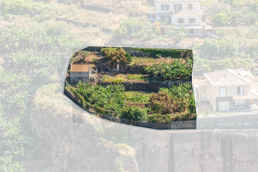 Terreno para Venda em Santa Cruz Foto 14