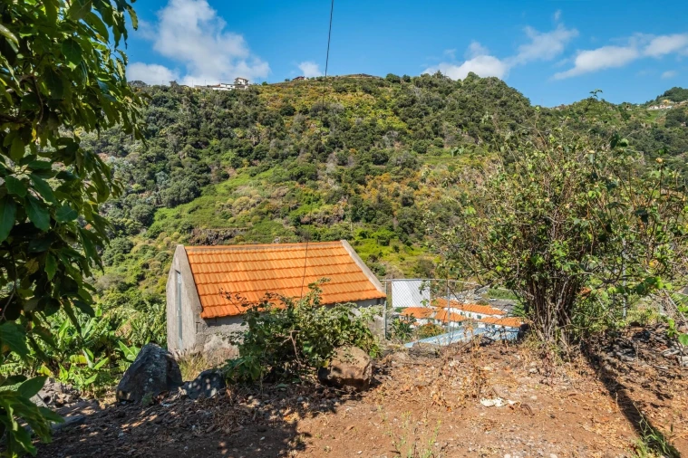 Terreno para Venda em Santa Cruz Foto 2