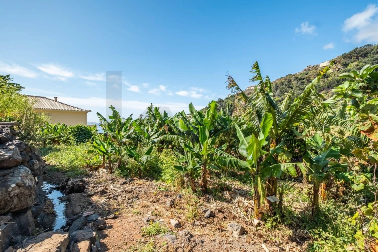 Terreno para Venda em Santa Cruz Foto 7