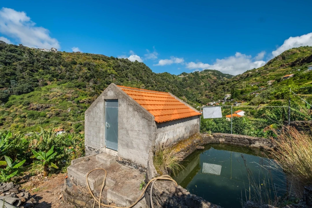 Terreno para Venda em Santa Cruz Foto 4