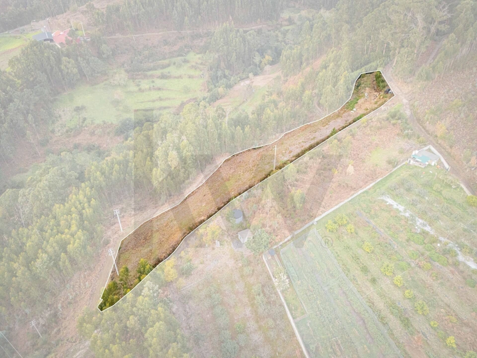 Terreno para Venda em Canhas Foto 4