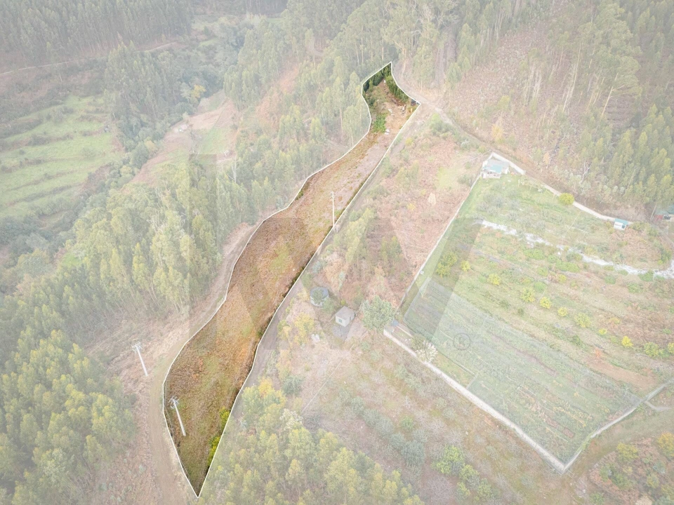 Terreno para Venda em Canhas Foto 5