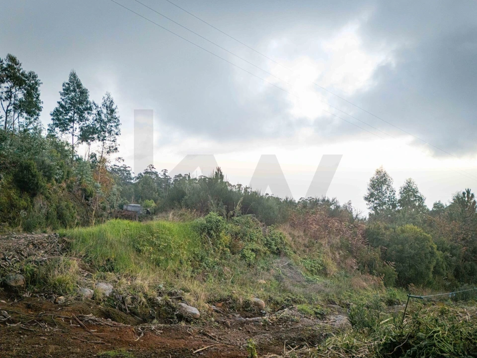 Terreno para Venda em Canhas Foto 7
