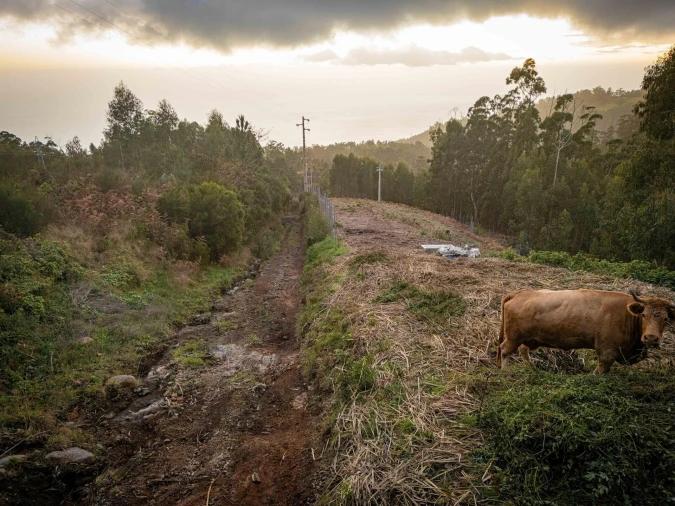 Terreno para Venda em Canhas Foto 13
