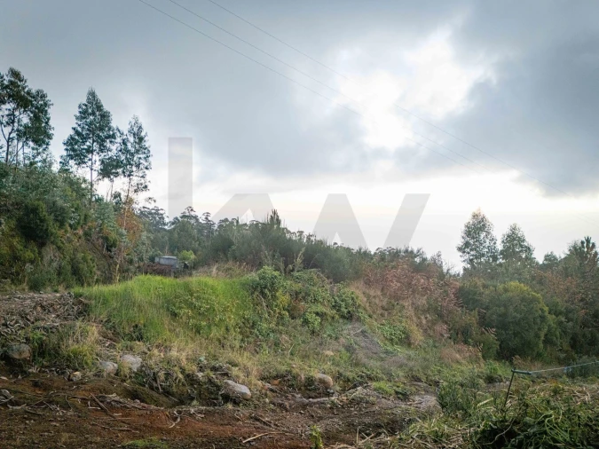 Terreno para Venda em Canhas Foto 7