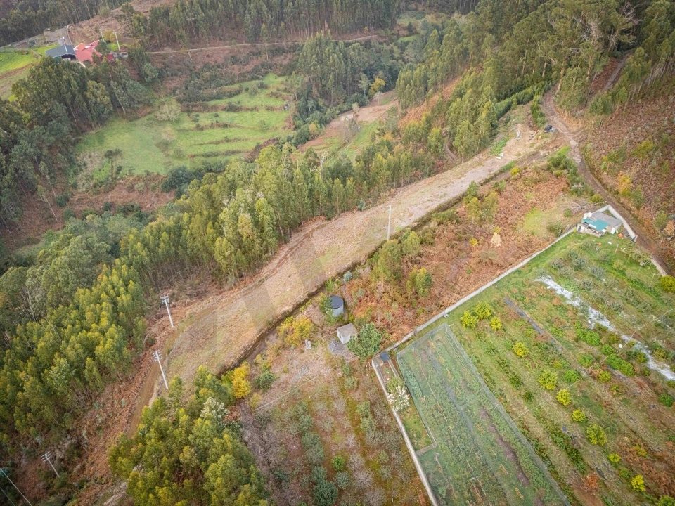 Terreno para Venda em Canhas Foto 8