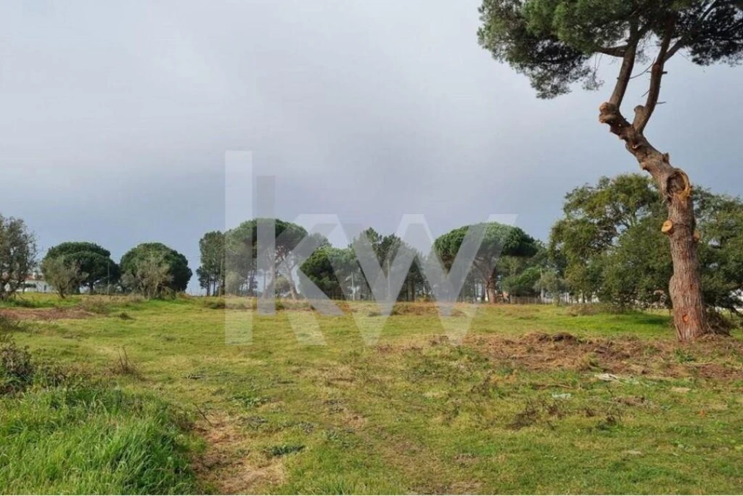 Terreno para Venda em Sesimbra (Castelo) Foto 6