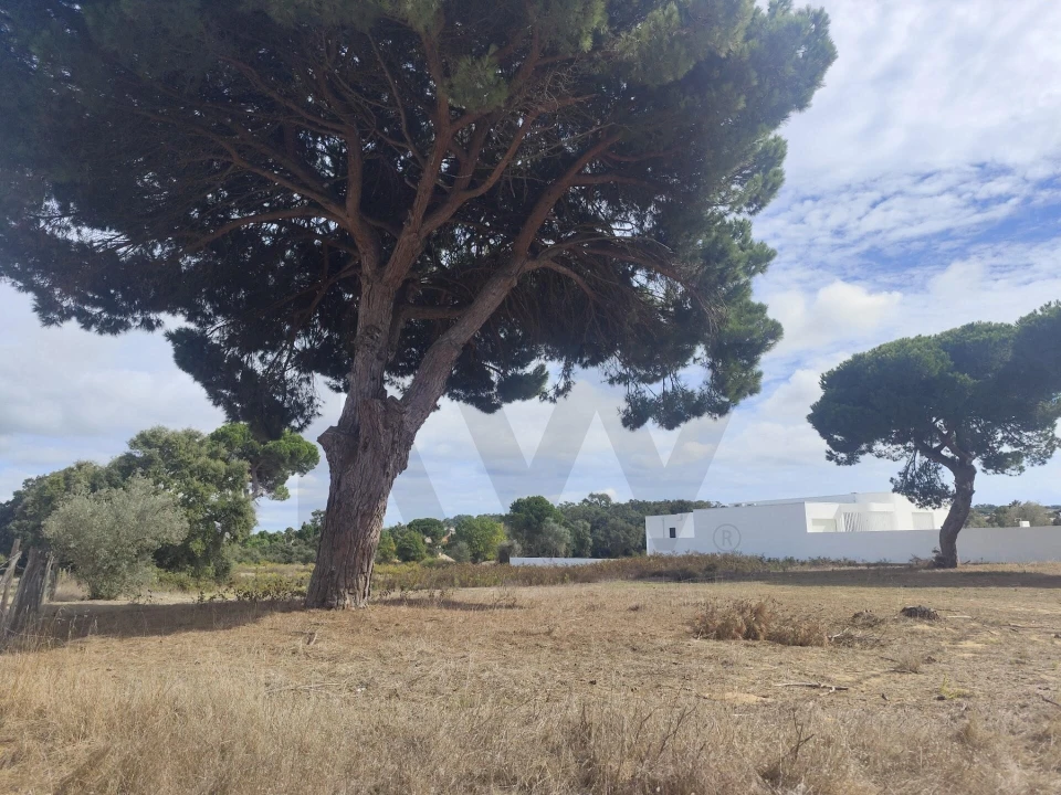 Terreno para Venda em Sesimbra (Castelo) Foto 5