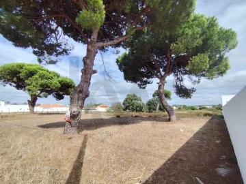 Terreno para Venda em Sesimbra (Castelo)