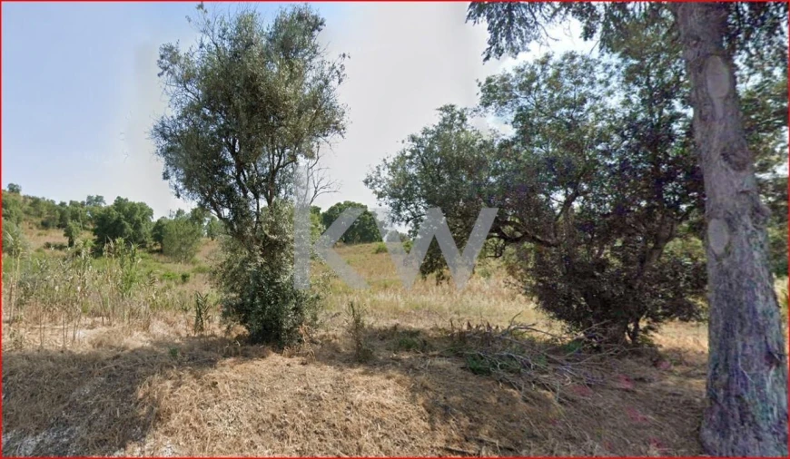 Terreno para Venda em Aveiras de Cima Foto 4
