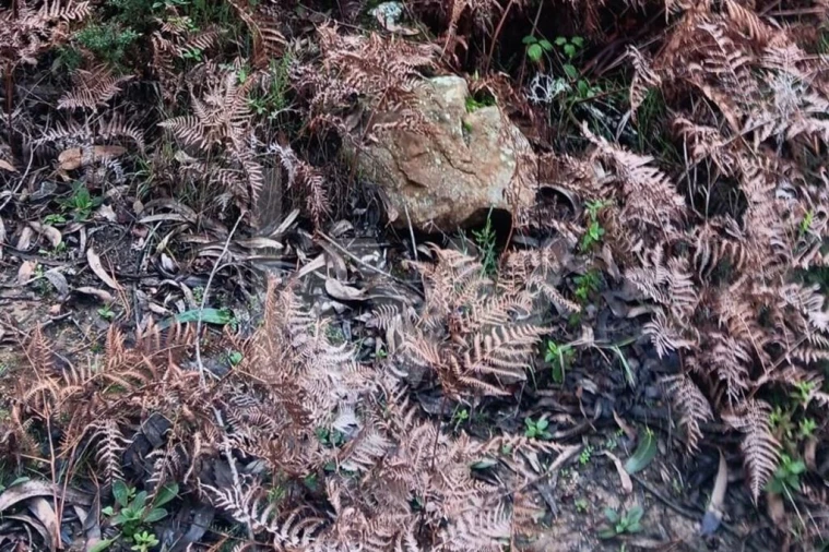 Terreno para Venda em Malveira e São Miguel de Alcainça Foto 14