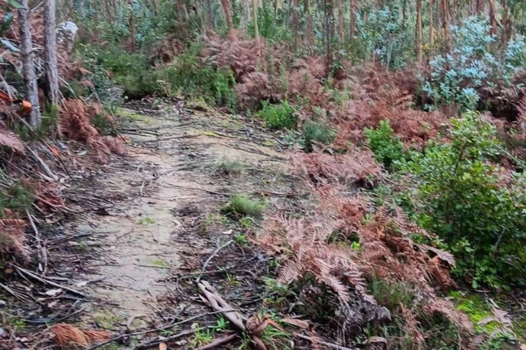 Terreno para Venda em Malveira e São Miguel de Alcainça Foto 11