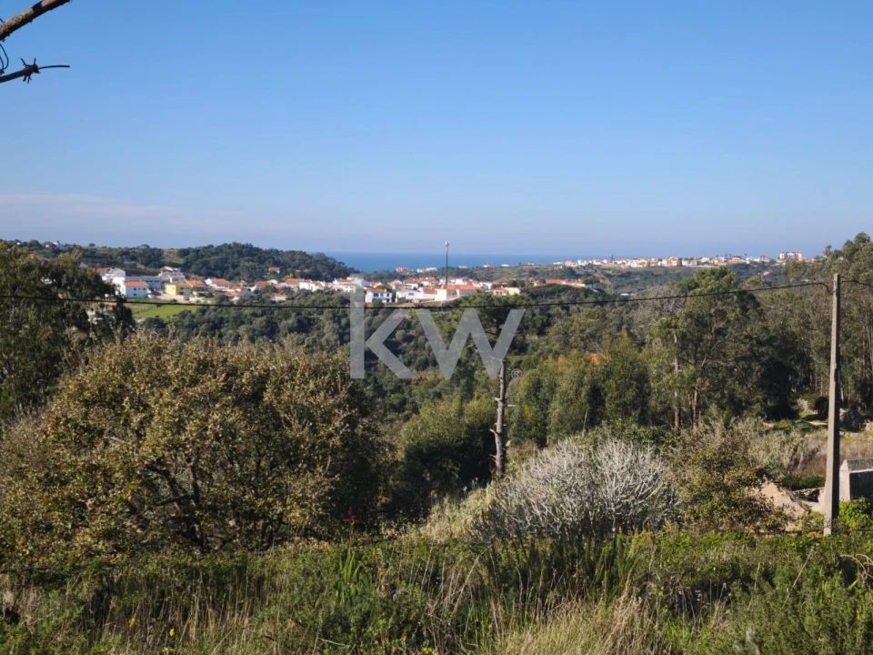 Terreno para Venda em Carvoeira Foto 13