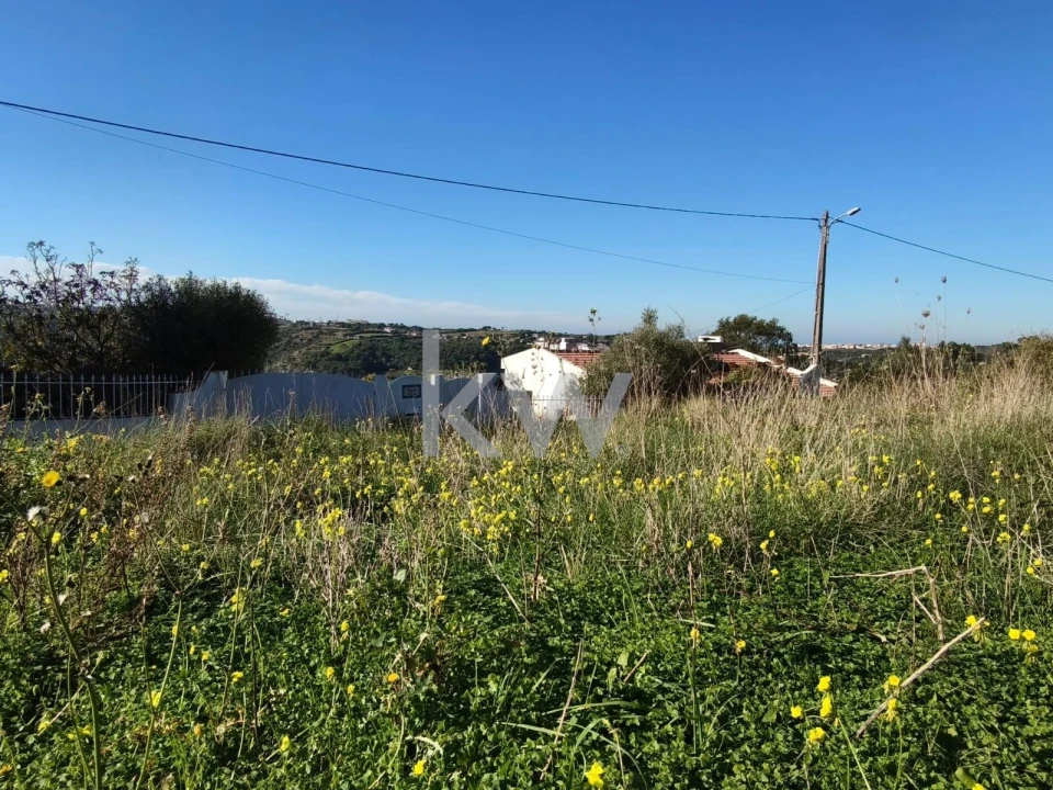 Terreno para Venda em Carvoeira Foto 10