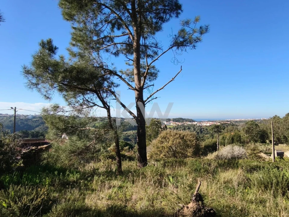 Terreno para Venda em Carvoeira Foto 1