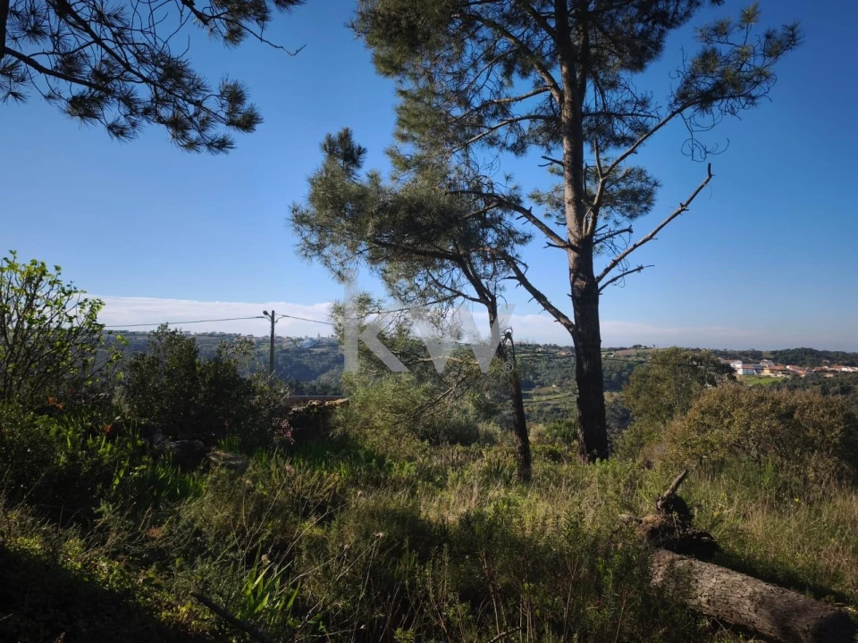 Terreno para Venda em Carvoeira Foto 15