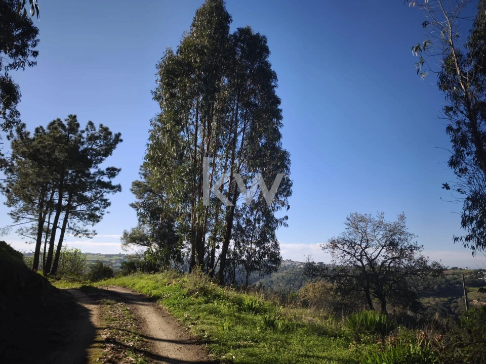 Terreno para Venda em Carvoeira Foto 18