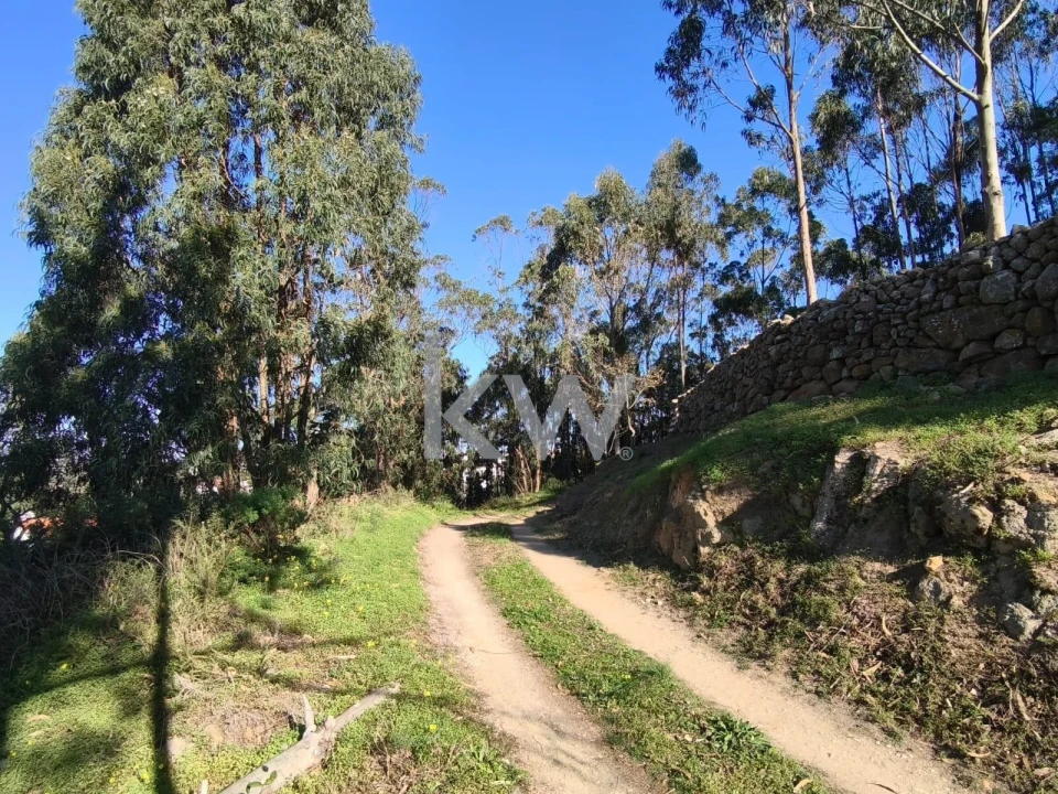 Terreno para Venda em Carvoeira Foto 12