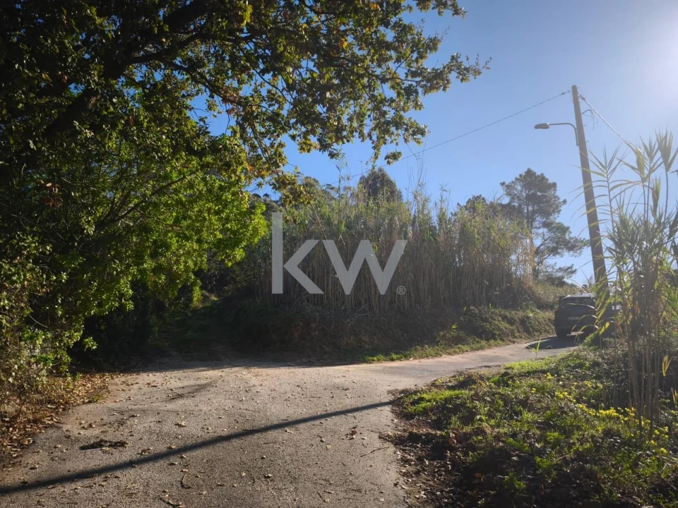 Terreno para Venda em Carvoeira Foto 23