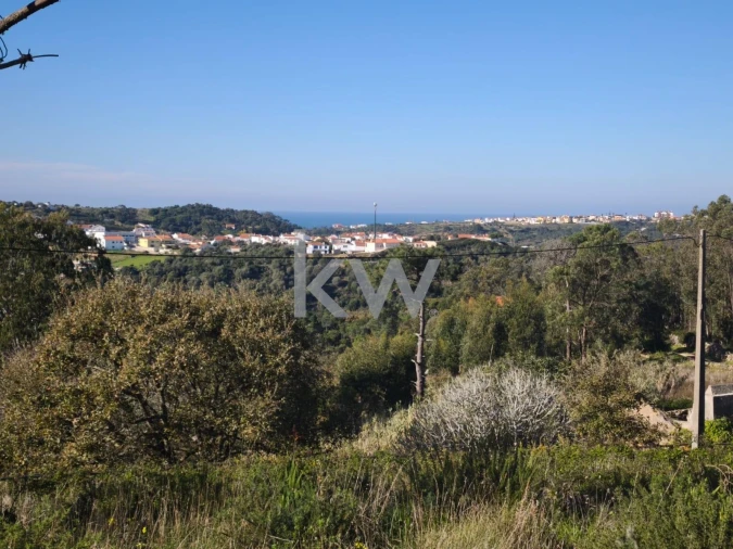 Terreno para Venda em Carvoeira Foto 13