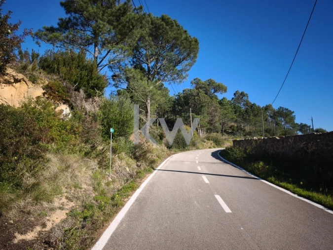 Terreno para Venda em Carvoeira Foto 24