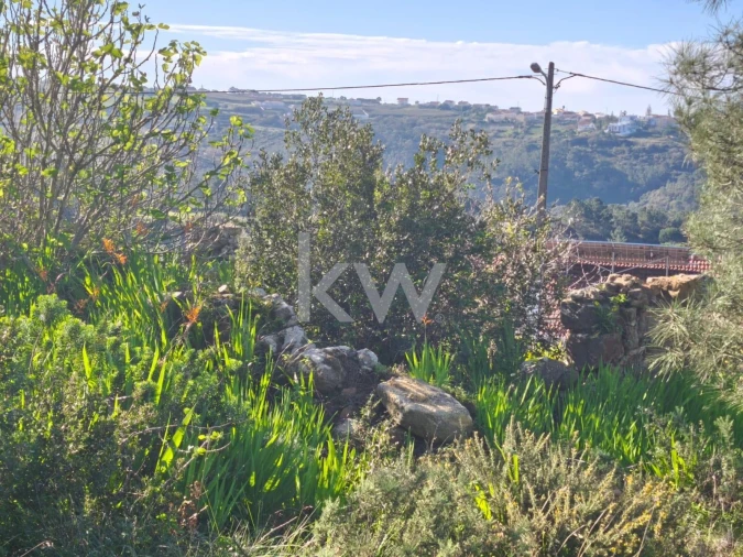 Terreno para Venda em Carvoeira Foto 14