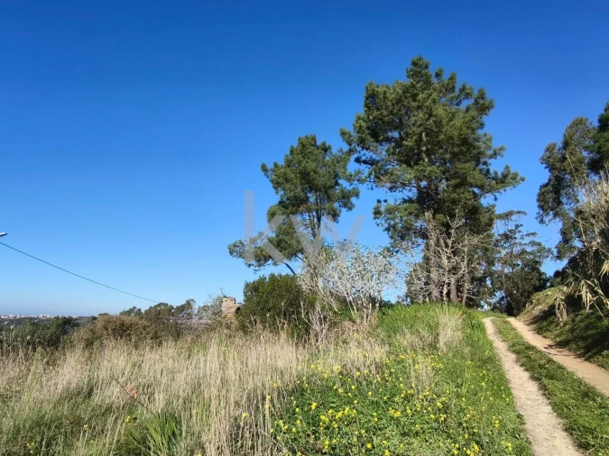 Terreno para Venda em Carvoeira Foto 11