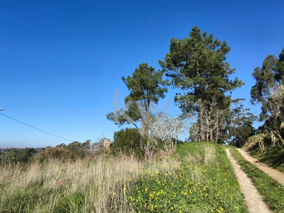 Terreno para Venda em Carvoeira Foto 11