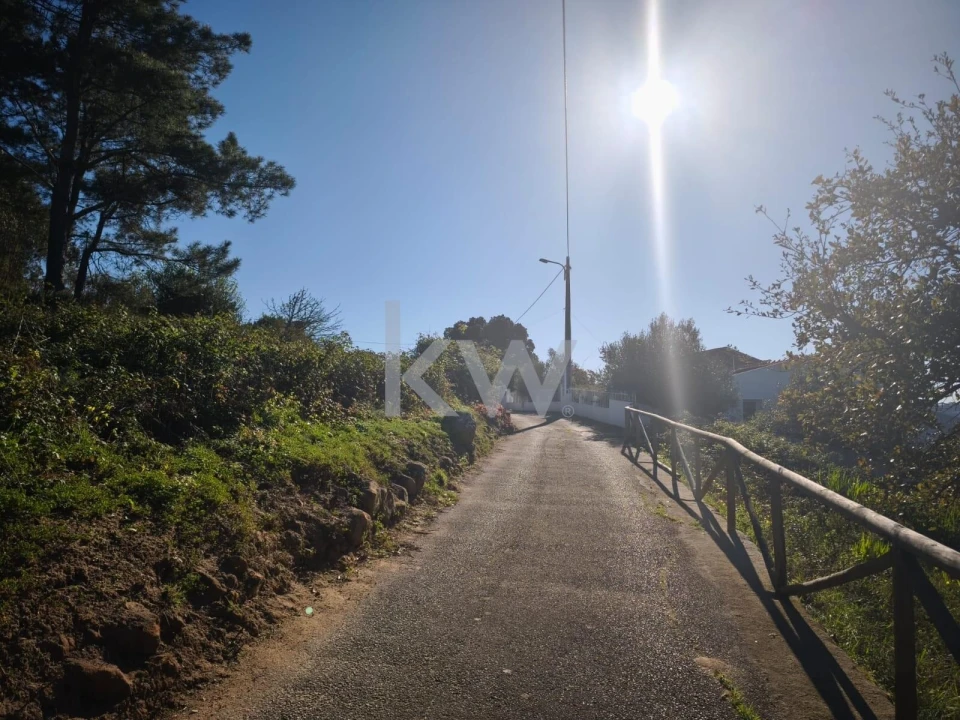 Terreno para Venda em Carvoeira Foto 7