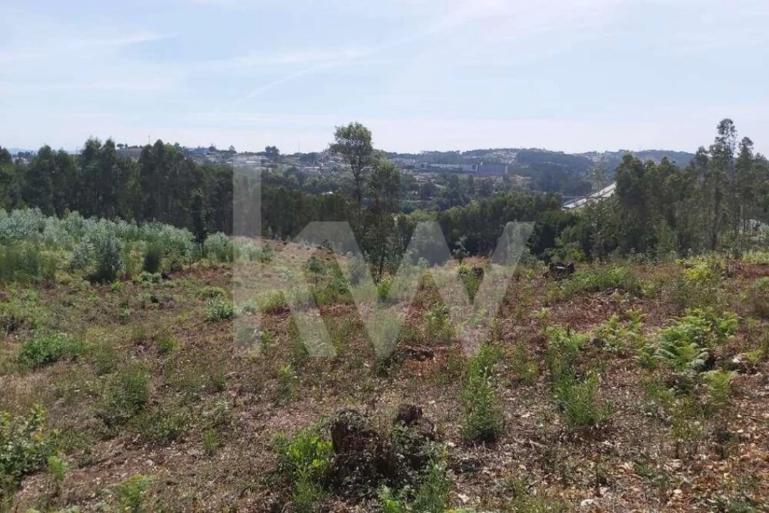Terreno para Venda em Pedroso e Seixezelo Foto 8