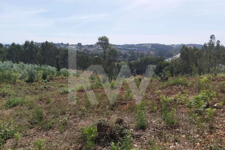 Terreno para Venda em Pedroso e Seixezelo Foto 8