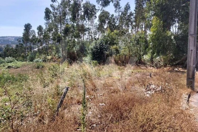 Terreno para Venda em Pedroso e Seixezelo Foto 9