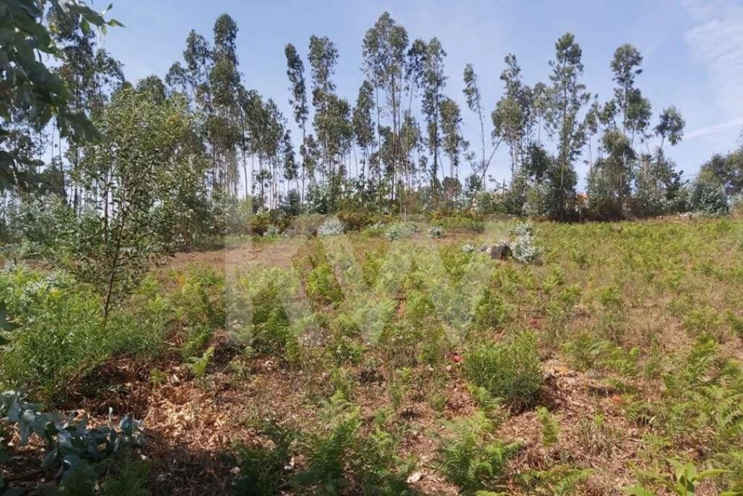 Terreno para Venda em Pedroso e Seixezelo Foto 12