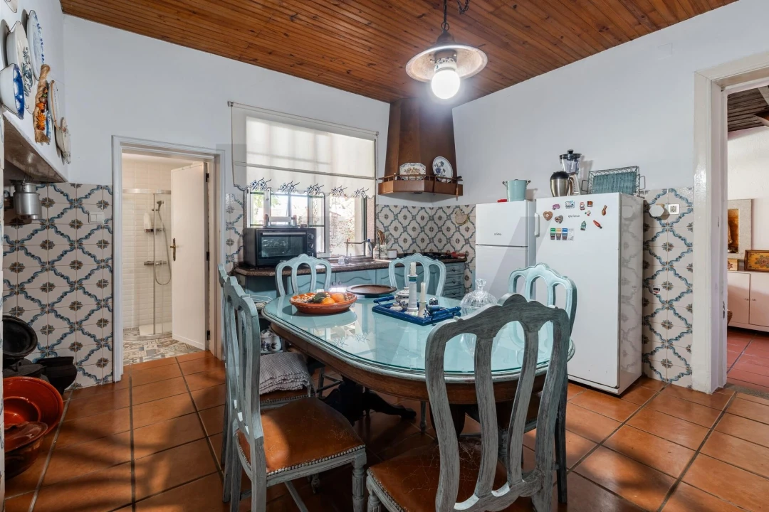 Quinta T5 para Venda em Oliveira do Bairro Foto 6