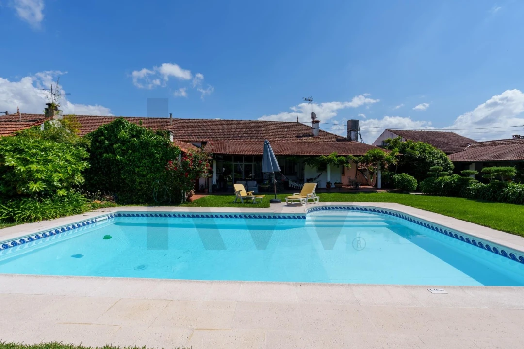 Quinta T5 para Venda em Oliveira do Bairro Foto 1