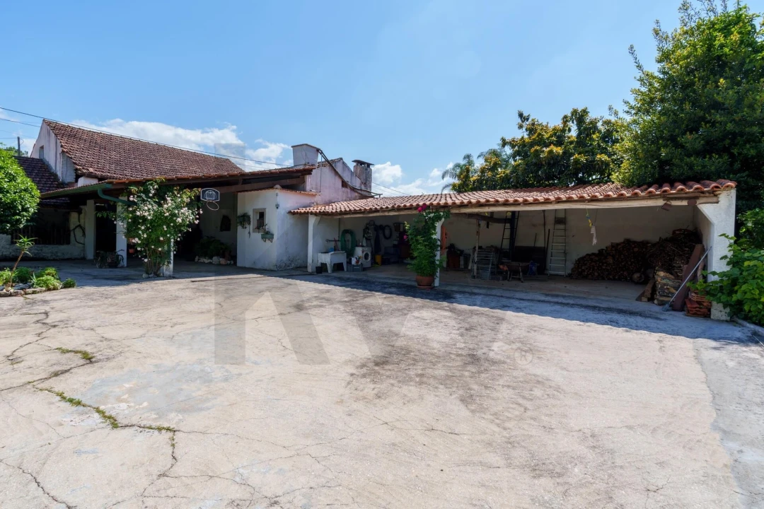 Quinta T5 para Venda em Oliveira do Bairro Foto 26