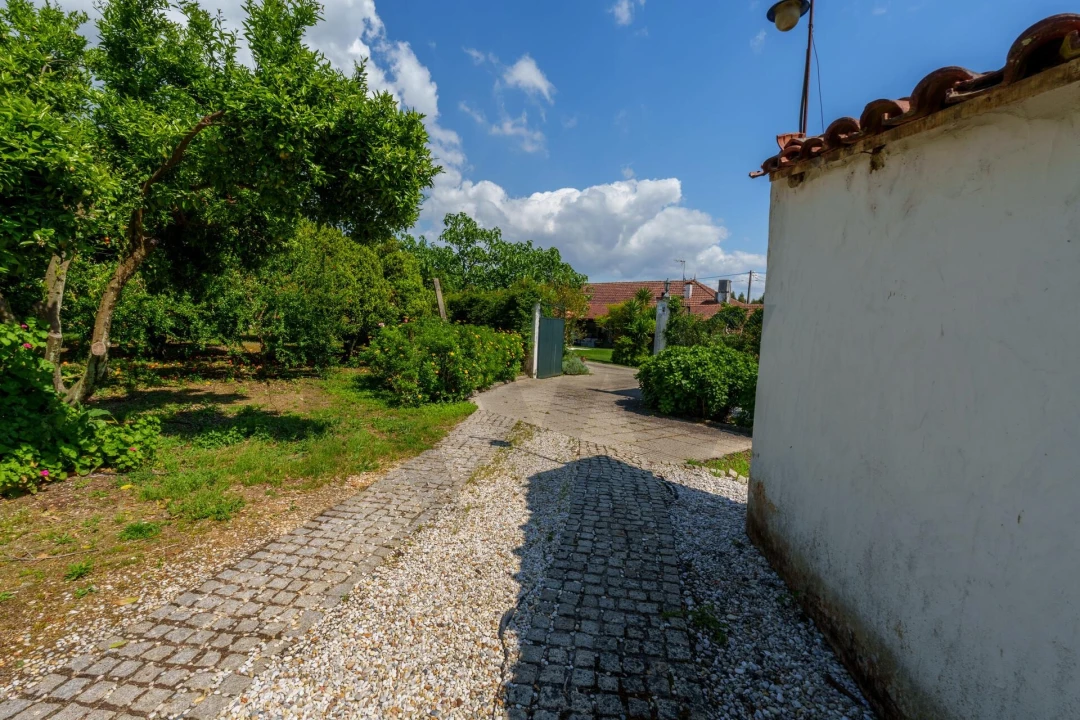 Quinta T5 para Venda em Oliveira do Bairro Foto 37